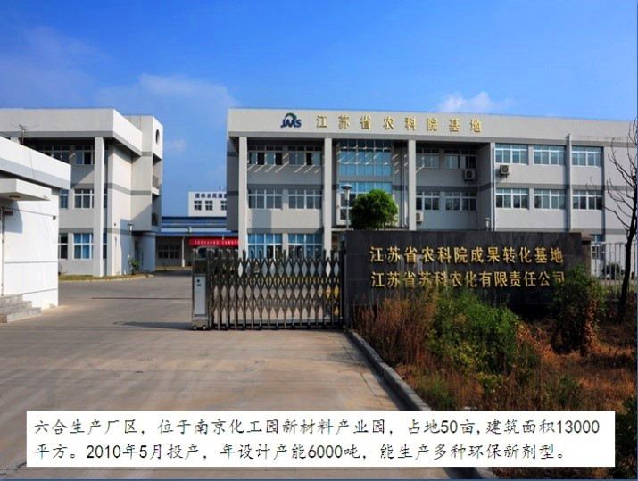 九州网页版